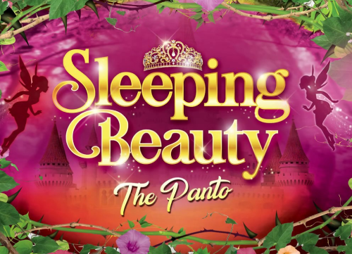 Tyne Theatre Panto 2021
